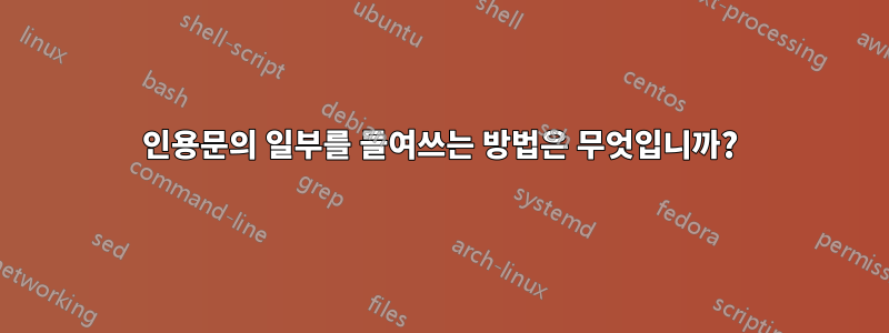 인용문의 일부를 들여쓰는 방법은 무엇입니까?