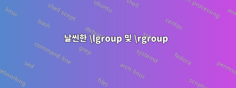 날씬한 \lgroup 및 \rgroup 