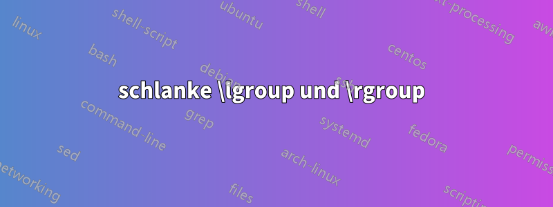 schlanke \lgroup und \rgroup 