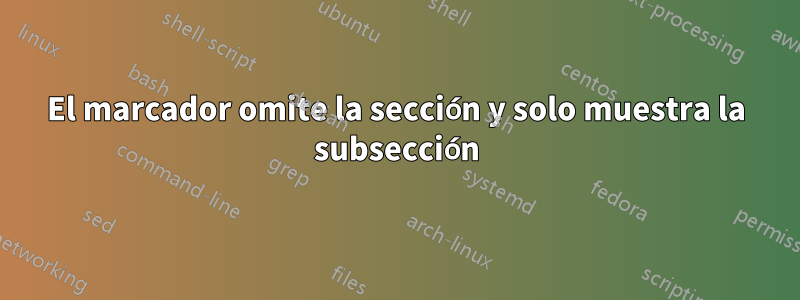 El marcador omite la sección y solo muestra la subsección