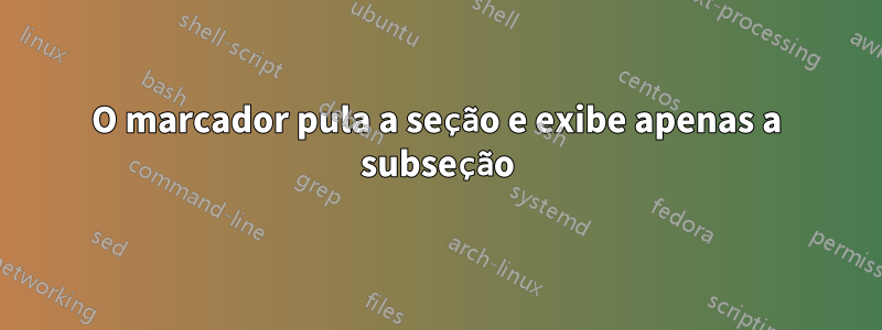 O marcador pula a seção e exibe apenas a subseção