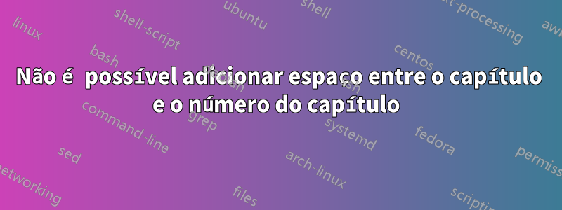 Não é possível adicionar espaço entre o capítulo e o número do capítulo 