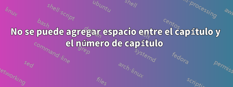 No se puede agregar espacio entre el capítulo y el número de capítulo 