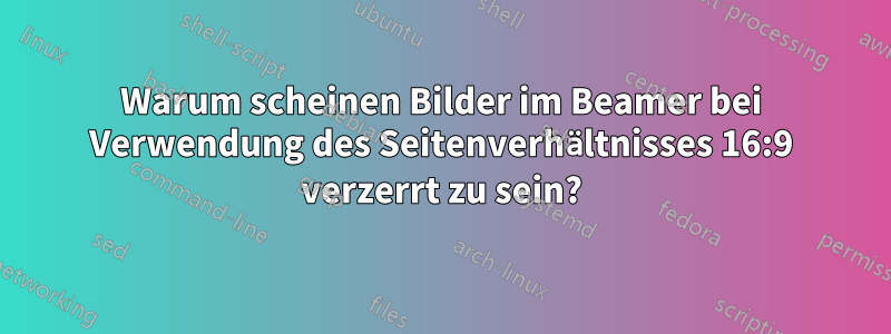 Warum scheinen Bilder im Beamer bei Verwendung des Seitenverhältnisses 16:9 verzerrt zu sein?