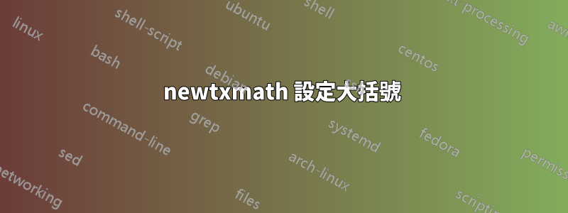 newtxmath 設定大括號