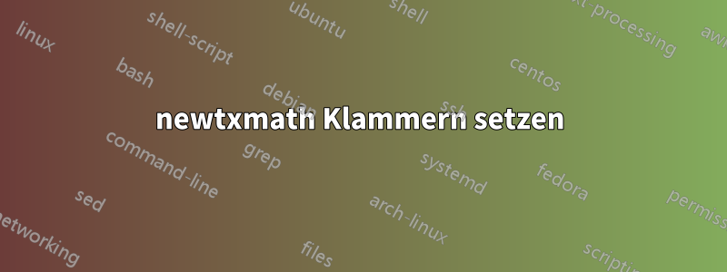 newtxmath Klammern setzen