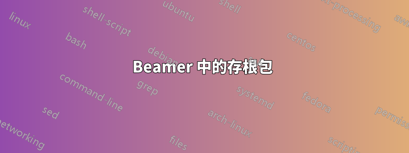 Beamer 中的存根包