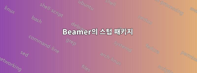 Beamer의 스텁 패키지