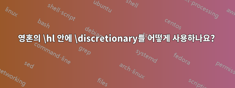 영혼의 \hl 안에 \discretionary를 어떻게 사용하나요?