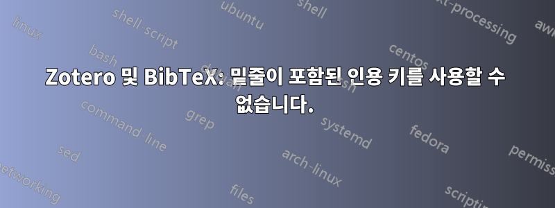 Zotero 및 BibTeX: 밑줄이 포함된 인용 키를 사용할 수 없습니다.