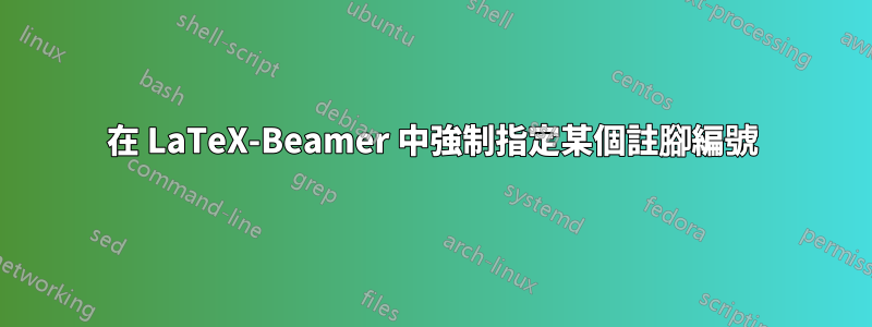 在 LaTeX-Beamer 中強制指定某個註腳編號