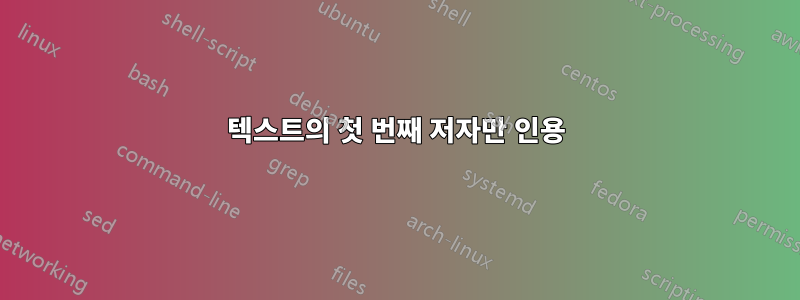 텍스트의 첫 번째 저자만 인용