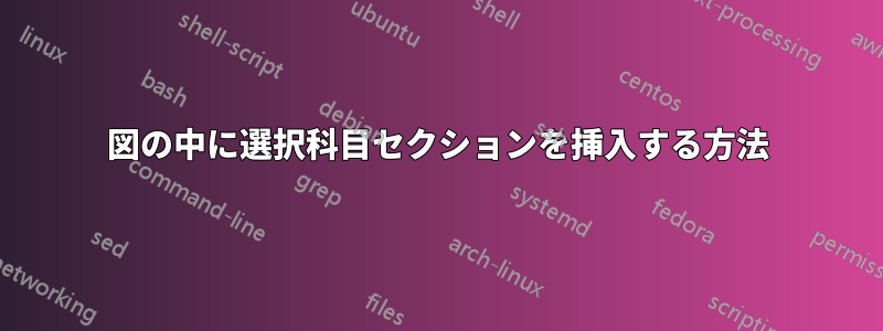 図の中に選択科目セクションを挿入する方法