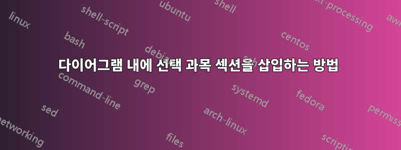 다이어그램 내에 선택 과목 섹션을 삽입하는 방법