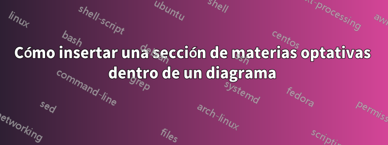 Cómo insertar una sección de materias optativas dentro de un diagrama