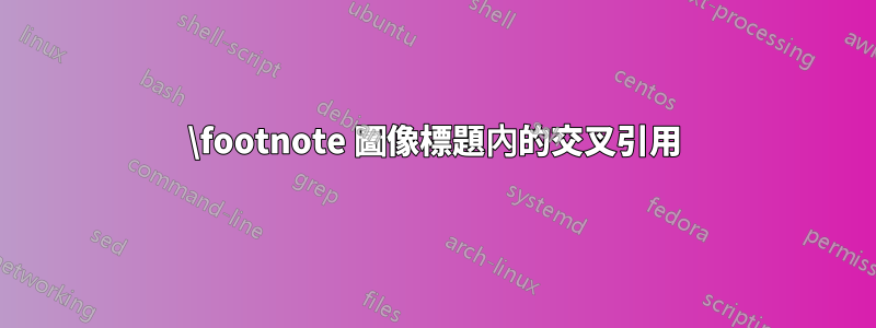 \footnote 圖像標題內的交叉引用