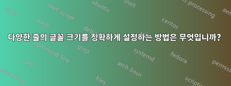 다양한 줄의 글꼴 크기를 정확하게 설정하는 방법은 무엇입니까?