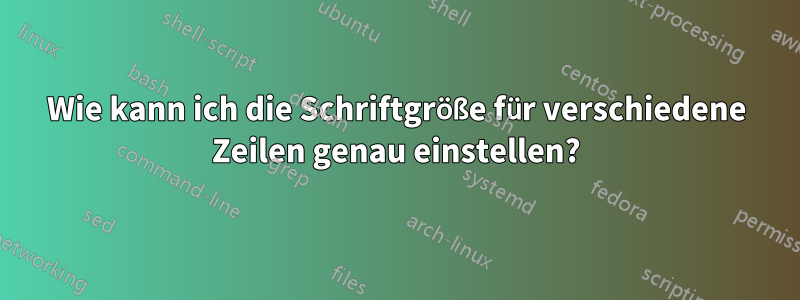 Wie kann ich die Schriftgröße für verschiedene Zeilen genau einstellen?