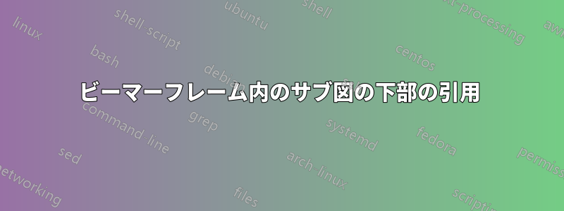 ビーマーフレーム内のサブ図の下部の引用