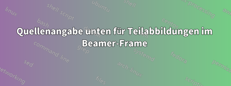 Quellenangabe unten für Teilabbildungen im Beamer-Frame