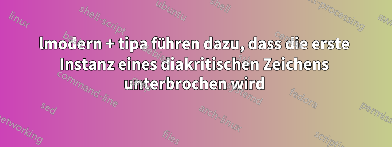 lmodern + tipa führen dazu, dass die erste Instanz eines diakritischen Zeichens unterbrochen wird