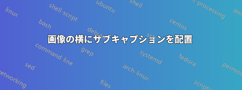 画像の横にサブキャプションを配置