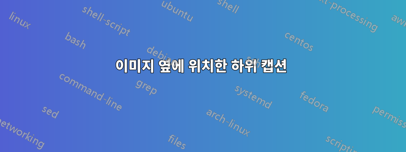 이미지 옆에 위치한 하위 캡션