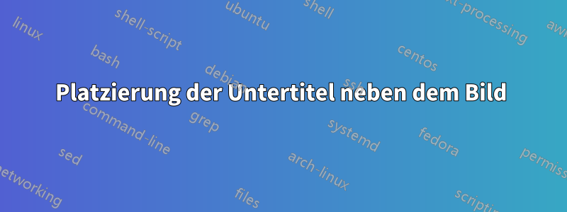 Platzierung der Untertitel neben dem Bild