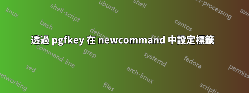 透過 pgfkey 在 newcommand 中設定標籤 