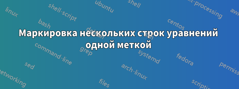 Маркировка нескольких строк уравнений одной меткой