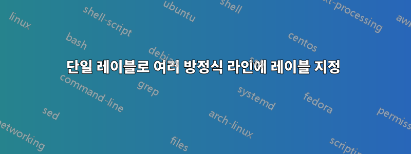 단일 레이블로 여러 방정식 라인에 레이블 지정