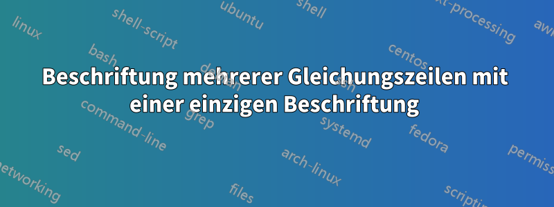 Beschriftung mehrerer Gleichungszeilen mit einer einzigen Beschriftung