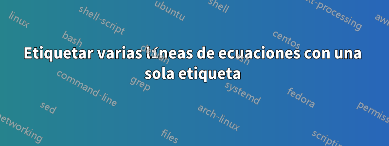 Etiquetar varias líneas de ecuaciones con una sola etiqueta