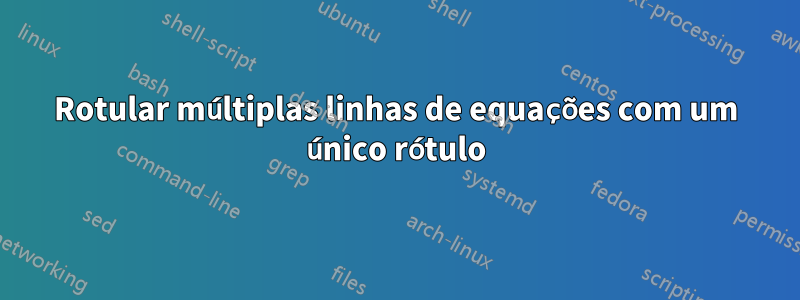 Rotular múltiplas linhas de equações com um único rótulo