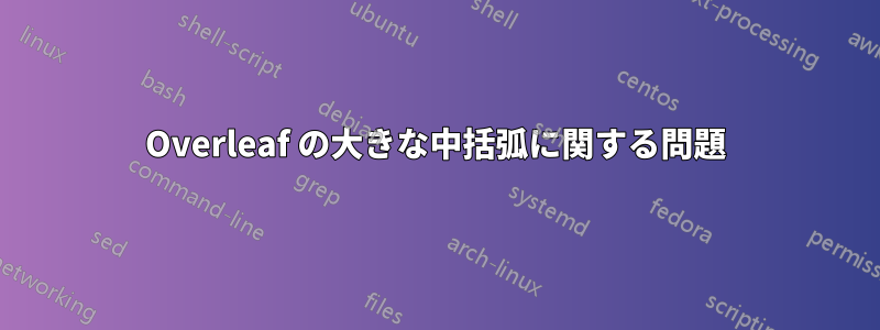 Overleaf の大きな中括弧に関する問題