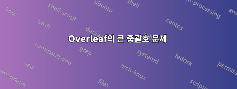 Overleaf의 큰 중괄호 문제