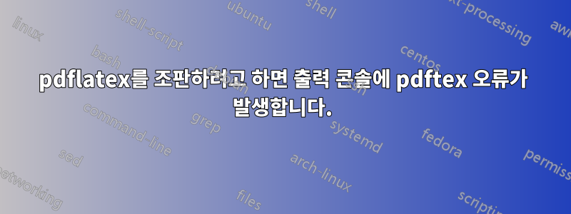 pdflatex를 조판하려고 하면 출력 콘솔에 pdftex 오류가 발생합니다.