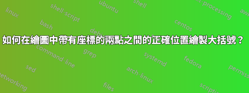 如何在繪圖中帶有座標的兩點之間的正確位置繪製大括號？