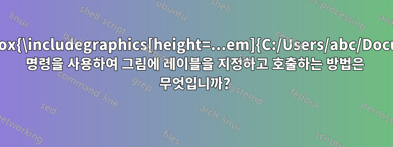 \vcenter{\hbox{\includegraphics[height=...em]{C:/Users/abc/Documents/...}}} 명령을 사용하여 그림에 레이블을 지정하고 호출하는 방법은 무엇입니까?