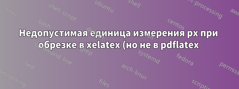 Недопустимая единица измерения px при обрезке в xelatex (но не в pdflatex)