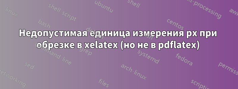 Недопустимая единица измерения px при обрезке в xelatex (но не в pdflatex)