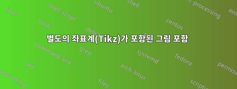 별도의 좌표계(Tikz)가 포함된 그림 포함