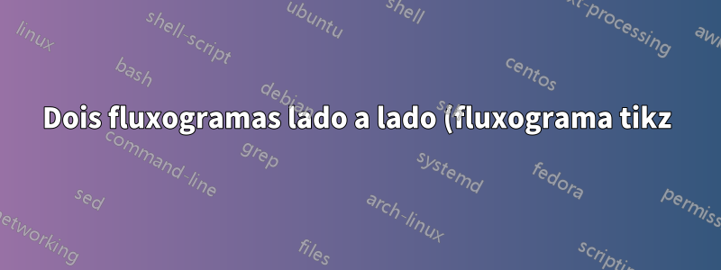 Dois fluxogramas lado a lado (fluxograma tikz) com caixa e rótulo para cada um