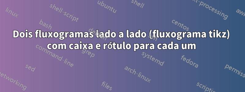 Dois fluxogramas lado a lado (fluxograma tikz) com caixa e rótulo para cada um