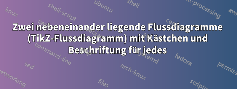 Zwei nebeneinander liegende Flussdiagramme (TikZ-Flussdiagramm) mit Kästchen und Beschriftung für jedes