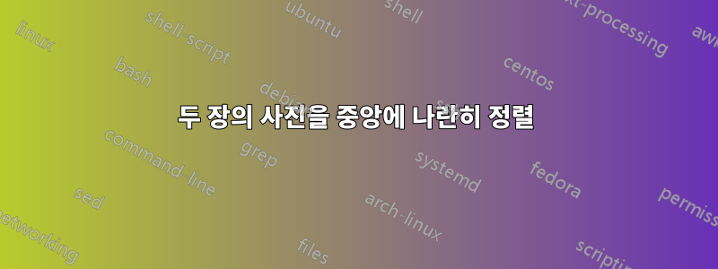 두 장의 사진을 중앙에 나란히 정렬