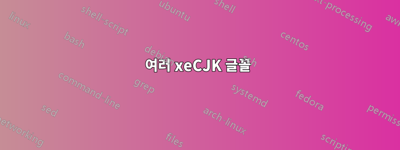 여러 xeCJK 글꼴