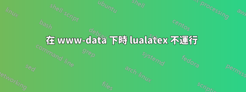 在 www-data 下時 lualatex 不運行