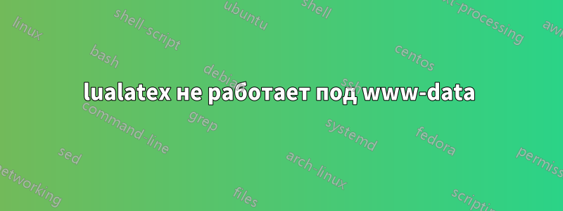 lualatex не работает под www-data