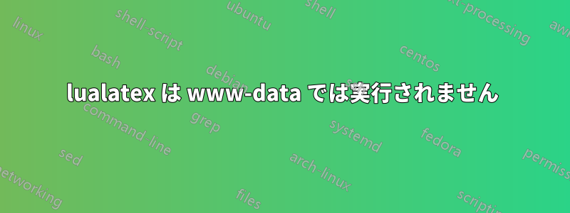 lualatex は www-data では実行されません